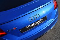 AUDI TTS
